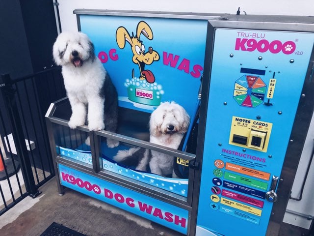 F1 Car and Dog Wash