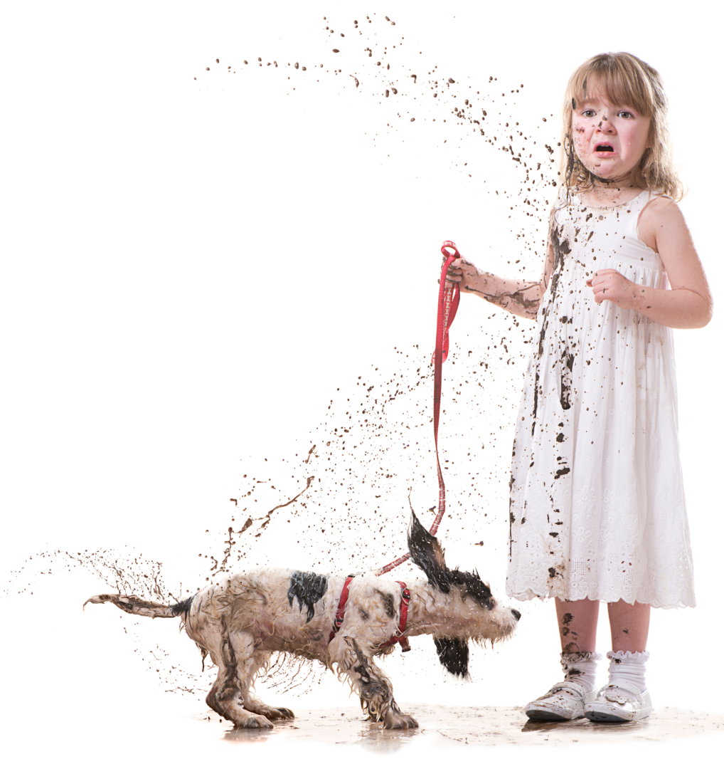 Dog splashing a girl with mud