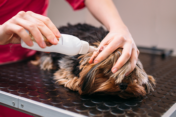 Dog ear cleaner