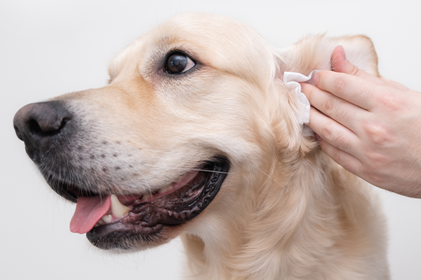 Ear Cleaning
