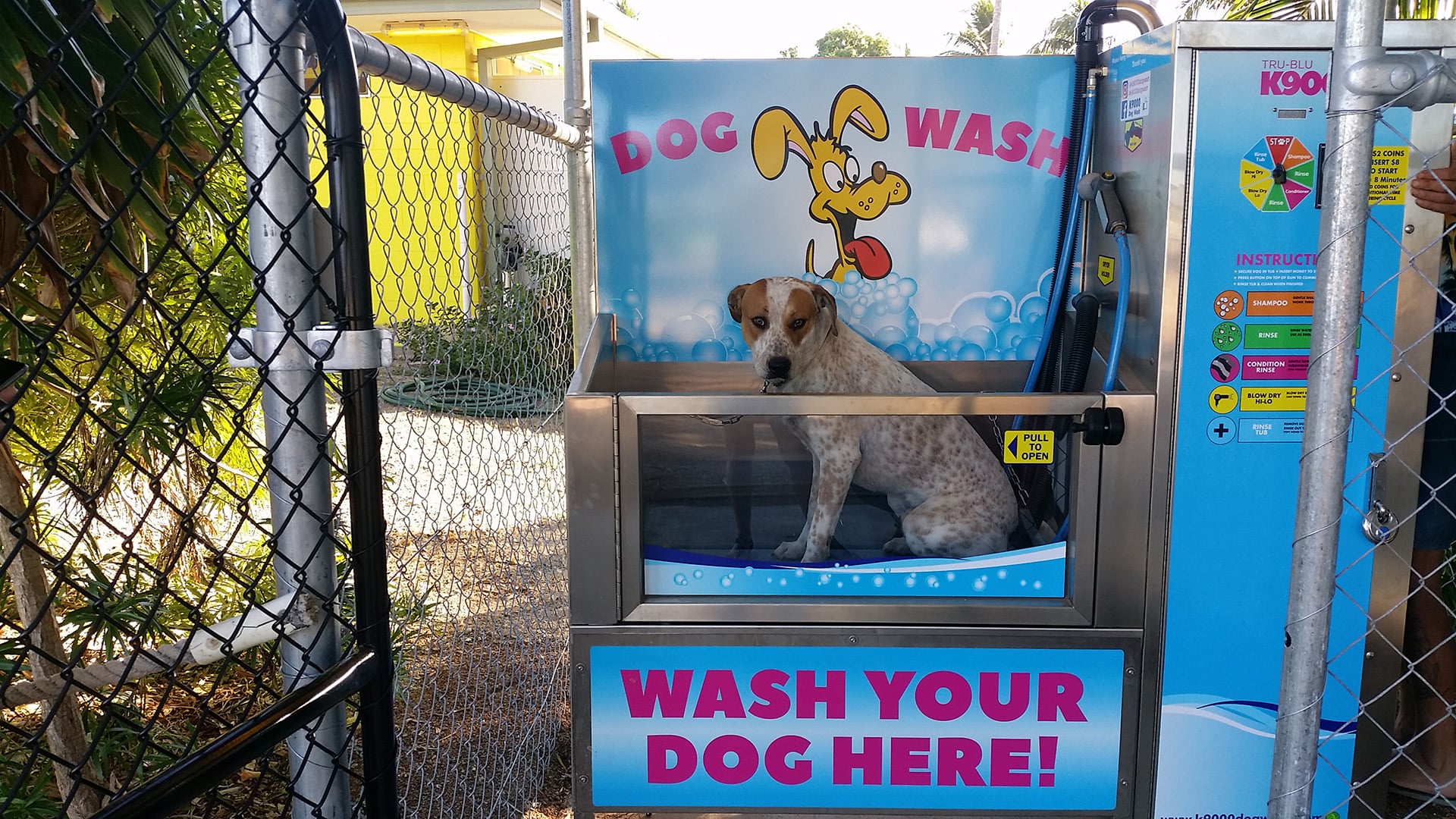 K9000 dog wash at Karumba